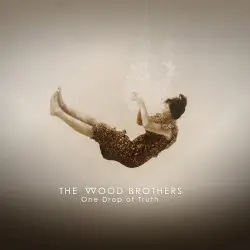 One Drop of Truth by The Wood Brothers