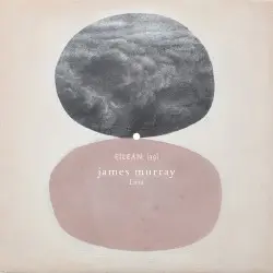 Loss (eilean 39) by James Murray