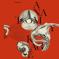 Anatomy of Rage by Convulsif