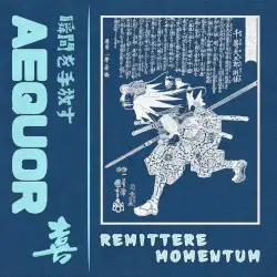 AEQUOR by Remittere Momentum
