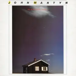 Glorious Fool by John Martyn