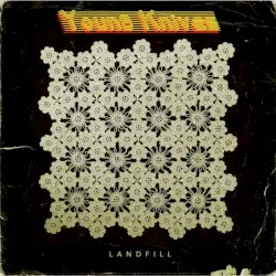 Landfill by Young Knives