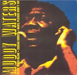 Muddy Waters by Muddy Waters