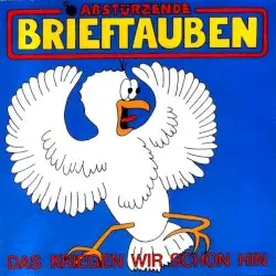 Das kriegen wir schon hin by Abstürzende Brieftauben