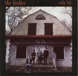 Only Life by The Feelies