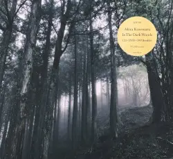 In The Dark Woods by Akira Kosemura