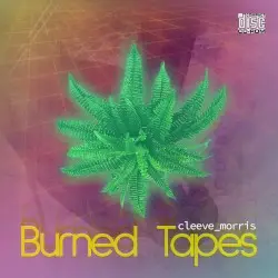 Burned Tapes by Cleeve Morris