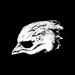 Legend of the Seagullmen by Legend of the Seagullmen