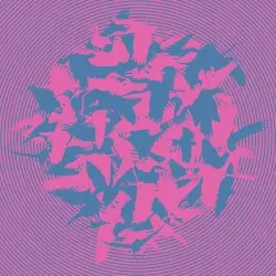 The Momentary Aviary by Vibracathedral Orchestra