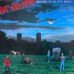 Welcome to the Real World by Mr. Mister