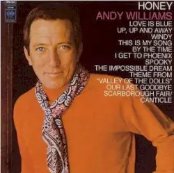 Honey by Andy Williams