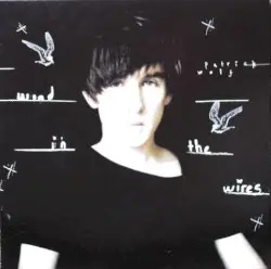 Wind in the Wires by Patrick Wolf
