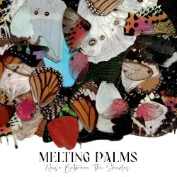 Noise Between the Shades by Melting Palms
