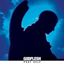 Post Self by Godflesh