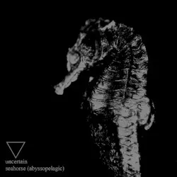 Seahorse (Abyssopelagic) by Uncertain