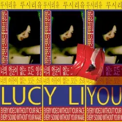 Every Video Without Your Face, Every Sound Without Your Name by Lucy Liyou