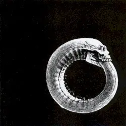 Scandinavian Leather by Turbonegro