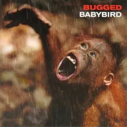 Bugged by Babybird