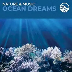 Ocean Dreams by David Arkenstone