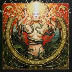The Gospel According to Shawn James & The Shapeshifters by Shawn James & The Shapeshifters