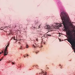Leave the Rest of Me Here by i4aw4e & Alyssa Blak