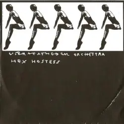 Hex Hostess by Vibracathedral Orchestra