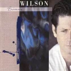 Brian Wilson by Brian Wilson