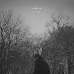 Dream Noise by Capitol