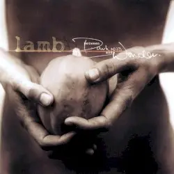 Between Darkness and Wonder by Lamb