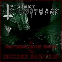 A Comprehensive Guide to Bridge Burning by The Design Abstract