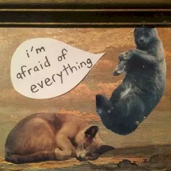 I'm Afraid of Everything by Human Kitten