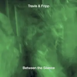 Between the Silence by Travis & Fripp