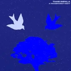 A Transparent Night by Tame Impala
