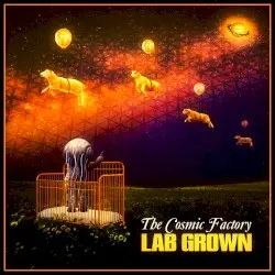 Lab Grown by The Cosmic Factory