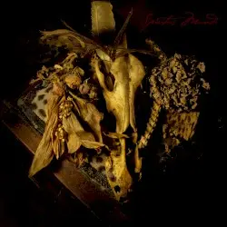 Spiritus Mundi by Aqua Nebula Oscillator
