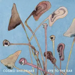 Eye to the Ear by Cosmo Sheldrake
