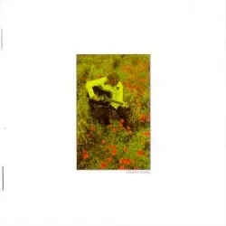 In The Poppy Fields: Three (Trafficking) by The Alarm