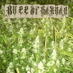 001: Weed Problem by Bull of Heaven