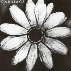 A Little Man and a House and the Whole World Window by Cardiacs