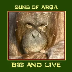 Big and Live by Suns of Arqa