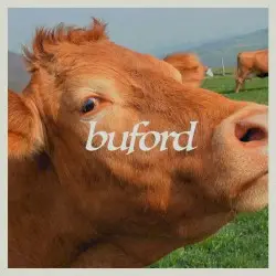 Buford by Free Rock